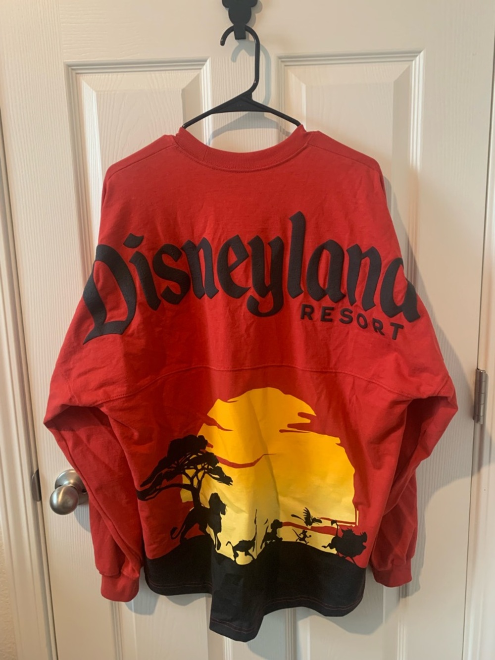 Disney Lion King Spirit Jersey